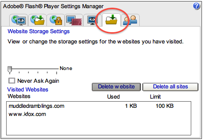 Flash Web Storage Settings Panel
