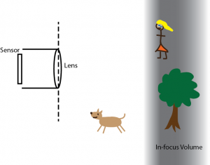 Figure 1: diagram of a photo shoot in a park. The girl and the tree are in focus.