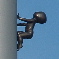 gizo01.jpg
