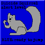 squirrel_blue