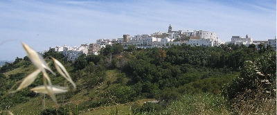 Vejer