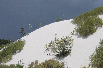 White sands leading edge