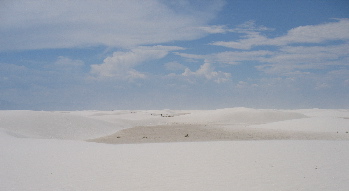 white sands